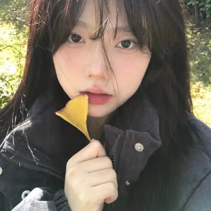 极光下