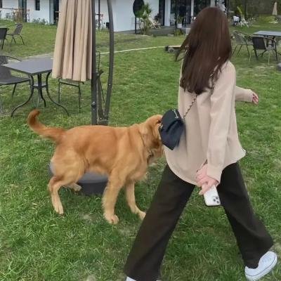 女校男生第二季